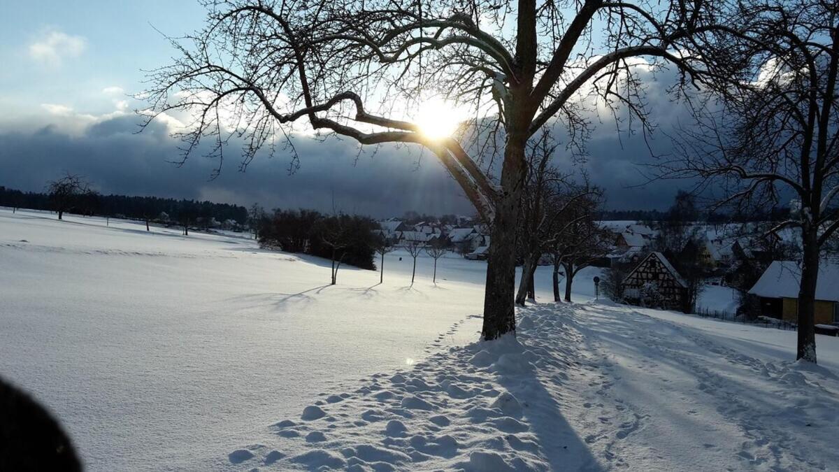 Ausblick Maisenbach, Talstrasse * Bad Liebenzell